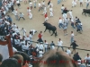 Running of Bulls